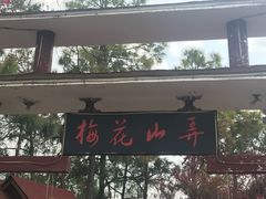 -南京市溧水区傅家边梅花山弄山庄