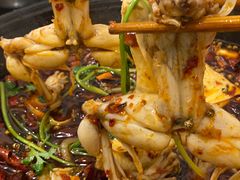 -鸿顺老铁锅美蛙鱼府(解放碑店)