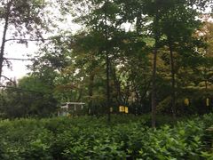 -西安市长乐公园