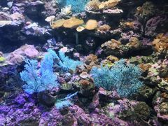 -北海·海洋之窗