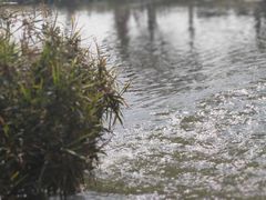 -呈贡滇池生态湿地公园