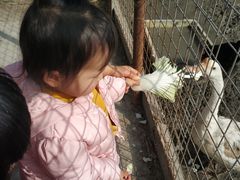 -小鱼草莓采摘园农家乐·小鱼餐厅