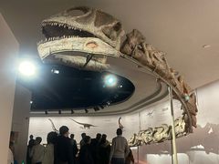 -自贡恐龙博物馆