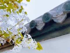 -团结湖公园