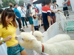 -华中科技大学光谷体育馆