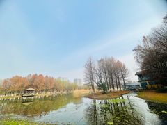 -长广溪湿地公园