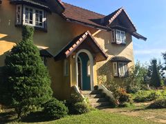 -黄色小屋
