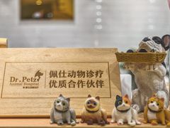 -Pets First伊珊娜洗护·精致美容·家庭式寄养(新会路店)