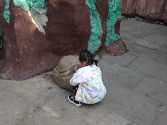 -南戴河旅游度假区
