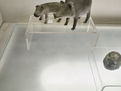 -旅顺博物馆