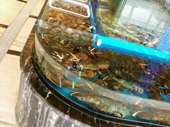 android_upload_pic-蓝港海鲜厨房(金水路店)