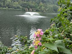 -重庆彩云湖湿地公园