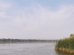 -绿堤公园