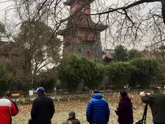 -四川大学(华西校区)