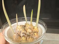 -富春茶社(国庆路店)
