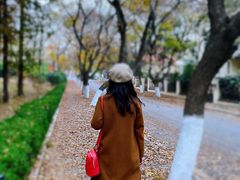 -八大关景区