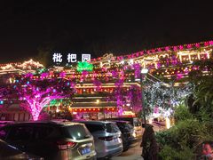 -枇杷园食为鲜火锅(南山店)