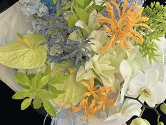 -花生FM_FLOWERS