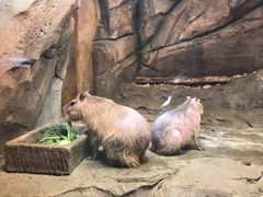 -哈尔滨波塞冬海底世界