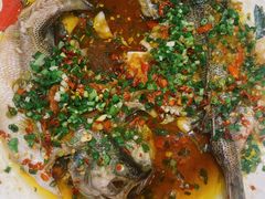 三椒蒸鲜鱼-荆九爷爆炒桥头三嫩(夫子庙店)