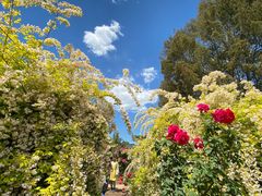 -国家植物园南园