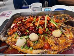 -衡百国际