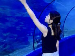-左海海底世界