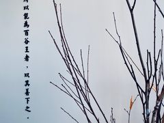 -小茶闲舍·观景商务茶馆(广州塔店)