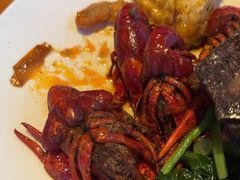 -视界美食自助餐厅·石家庄希尔顿酒店