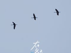 -怀来官厅水库
