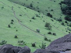 -大姆山草场