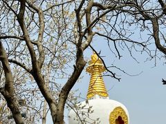 -护国法轮寺