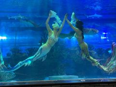 -成都浩海立方海洋公园