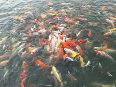 -蒙自源小锅米线(金佰利店)