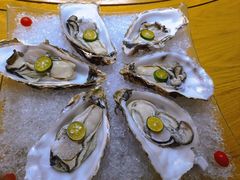 生蚝刺身-蠔爺王志德生蚝馆(金沙湾店)