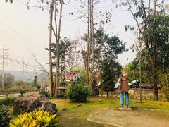 -黄色小屋