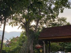 -傣泐金湾餐厅