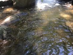 -浙北大峡谷