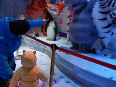 -宁波冰雪大世界(北仑区)