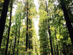 iphone_upload_pic-上海怡沁园度假酒店