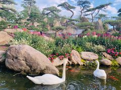 -罗红摄影艺术馆