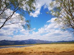 -野鸭湖国家湿地公园