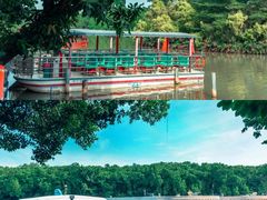 -大湾区中央湿地公园