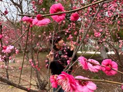 -白塘生态植物园