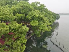 -湖畔居茶楼(湖滨店)