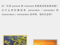 -儒圣教育外语培训