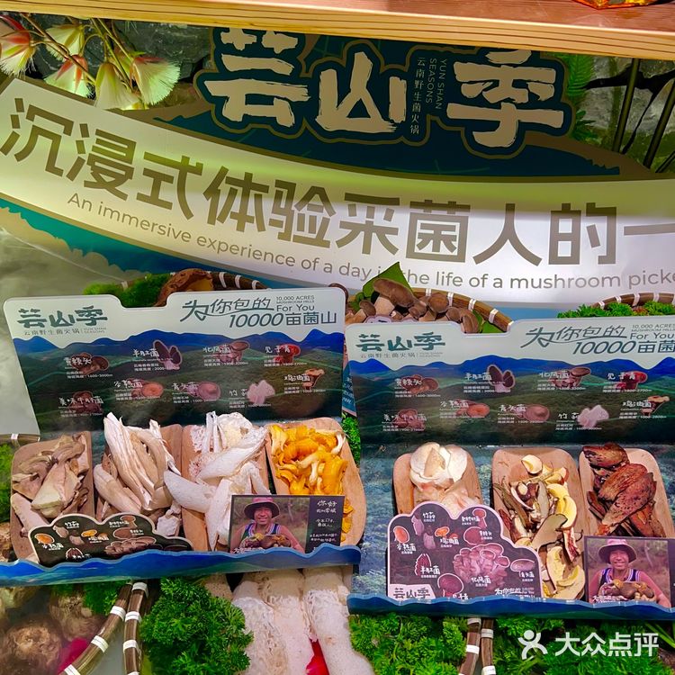 心心念念的见手青可算在上海吃上了！！