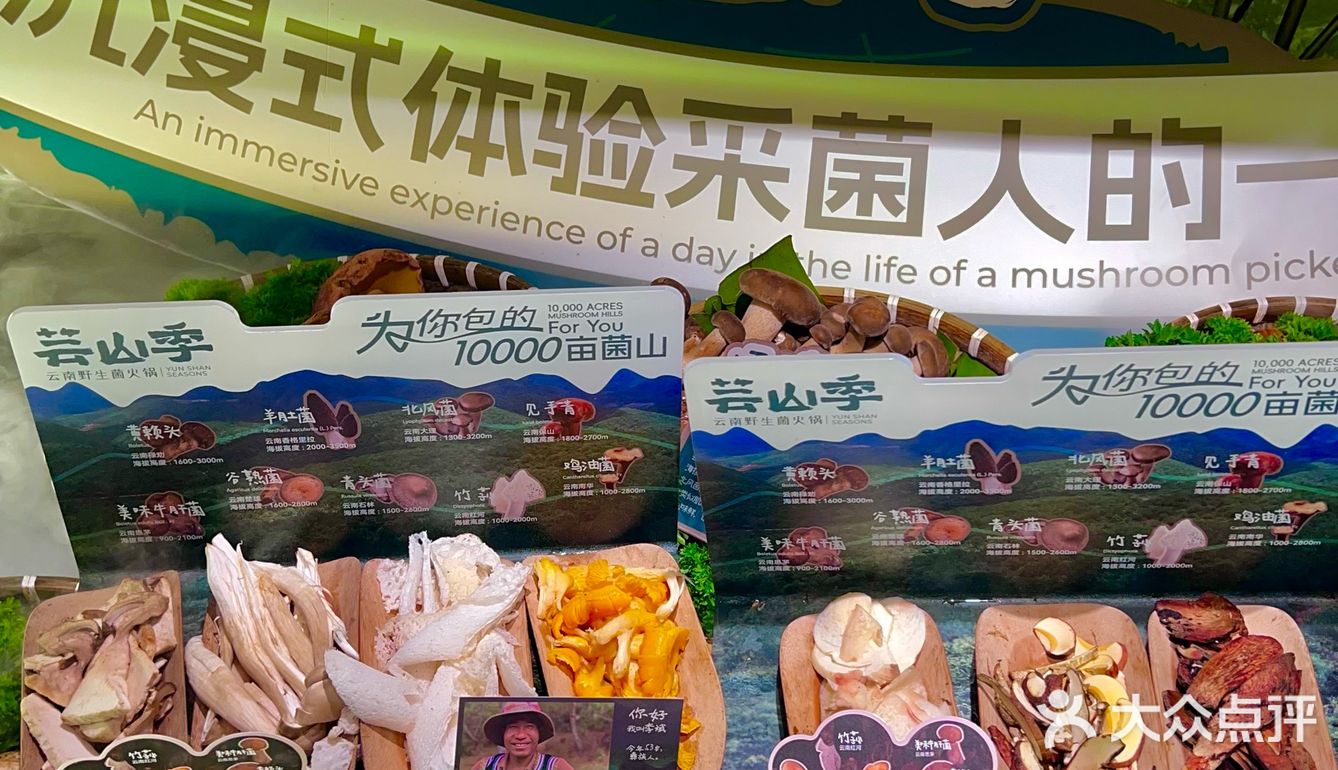 心心念念的见手青可算在上海吃上了！！