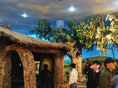 -国家自然博物馆