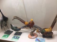 iphone_upload_pic-下渚湖国家湿地公园科普馆